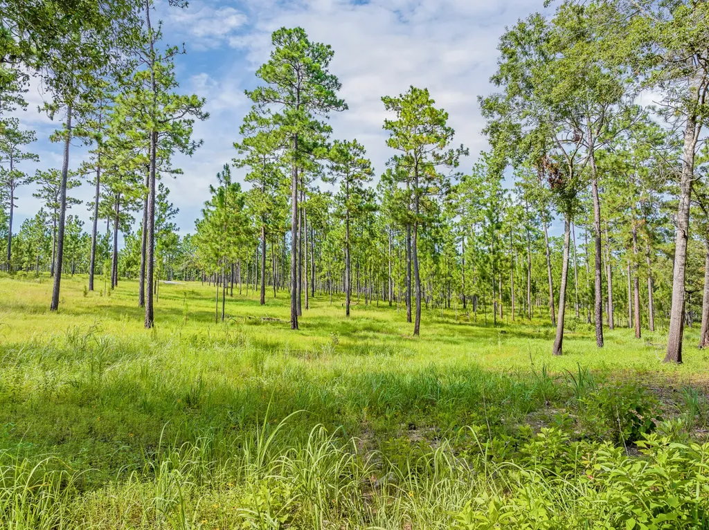 0 Steelwood Ridge Drive Loxley AL 36551