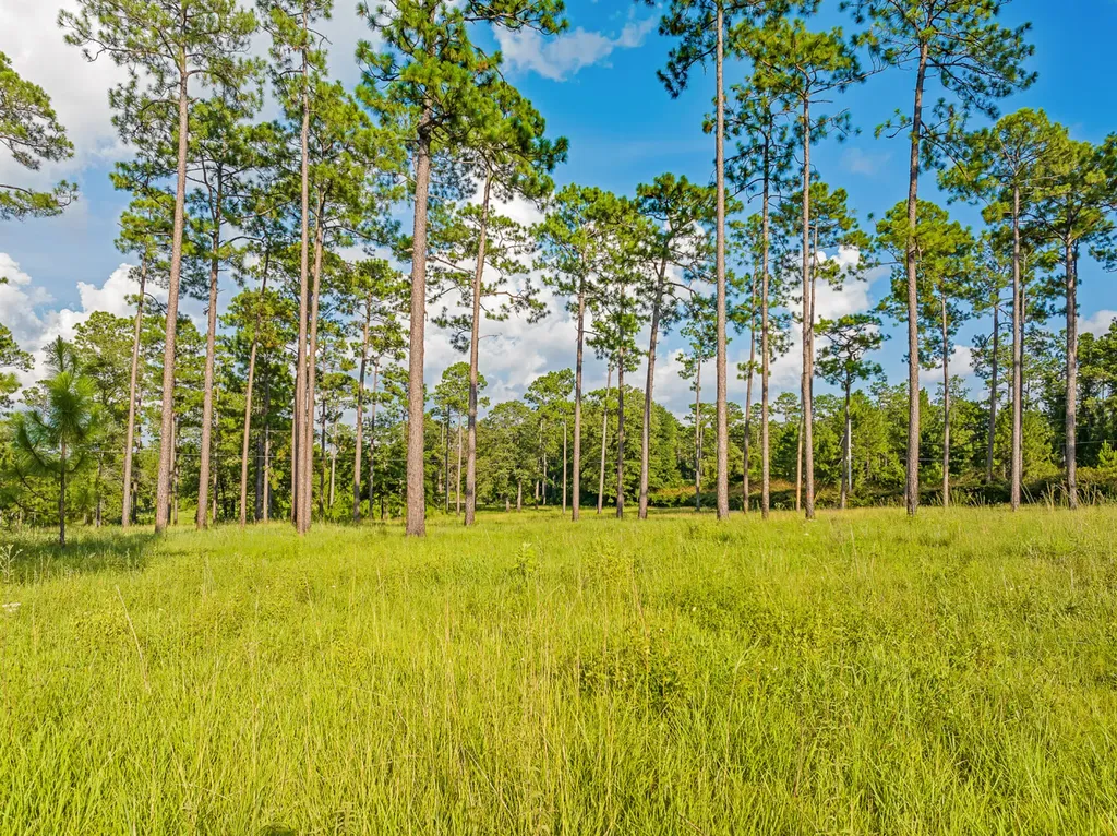 0 Steelwood Ridge Drive Loxley AL 36551