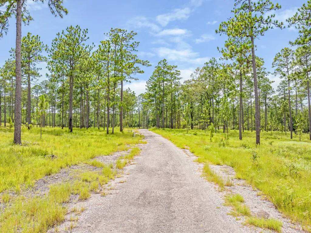 0 Steelwood Ridge Drive Loxley AL 36551