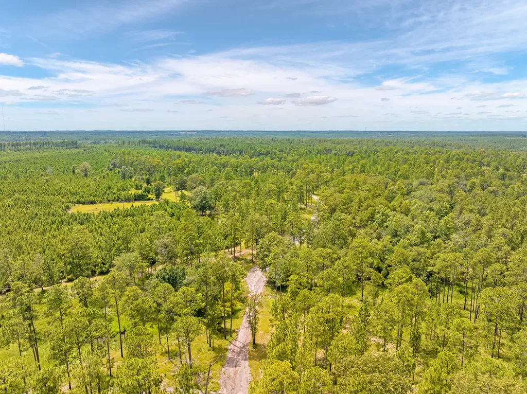 0 Steelwood Ridge Drive Loxley AL 36551