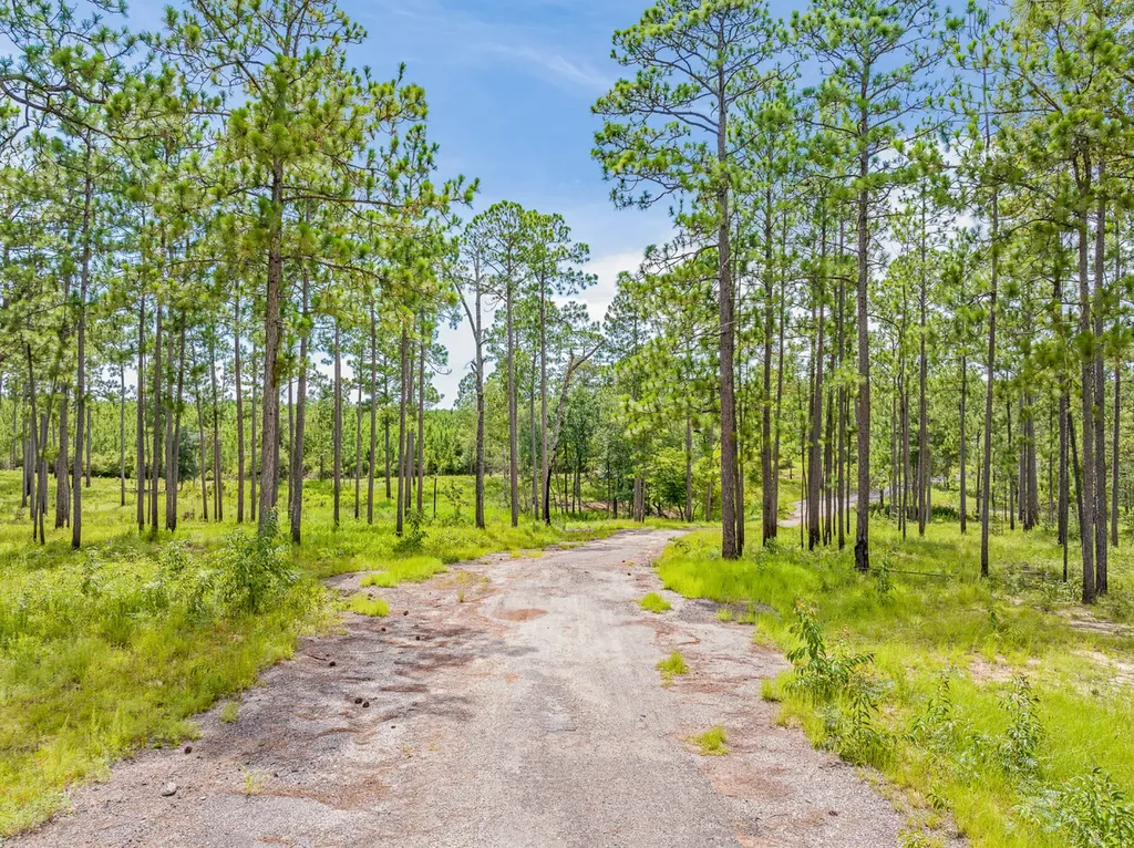 0 Steelwood Ridge Drive Loxley AL 36551