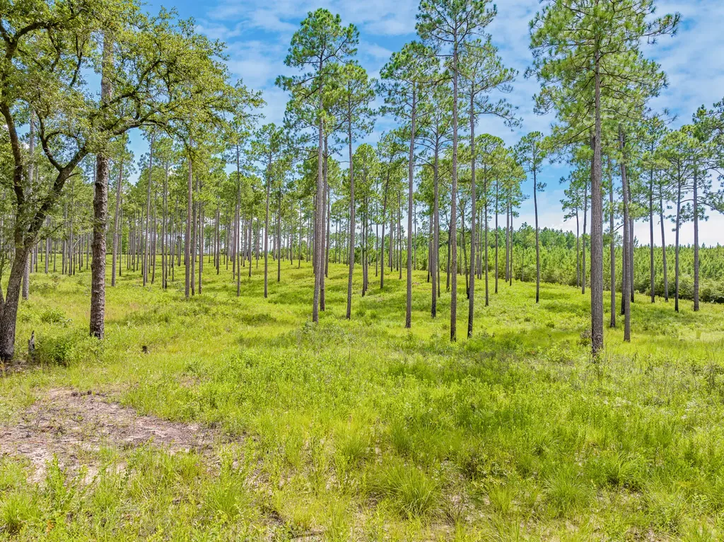 0 Steelwood Ridge Drive Loxley AL 36551