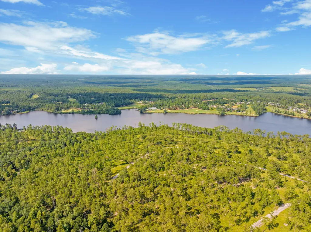 0 Steelwood Ridge Drive Loxley AL 36551