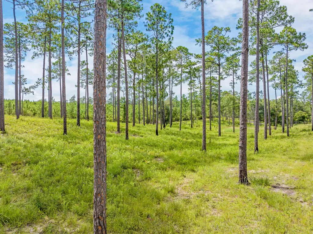 0 Steelwood Ridge Drive Loxley AL 36551