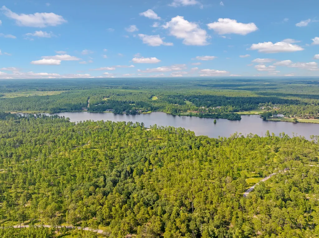 0 Steelwood Ridge Drive Loxley AL 36551