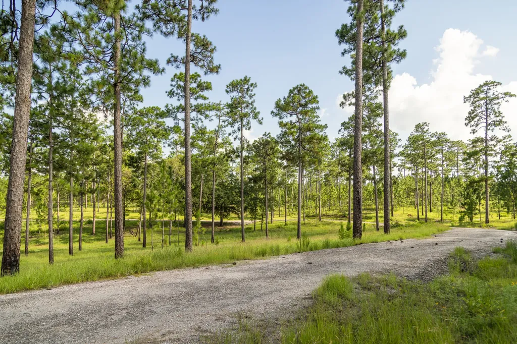 0 Steelwood Ridge Drive Loxley AL 36551