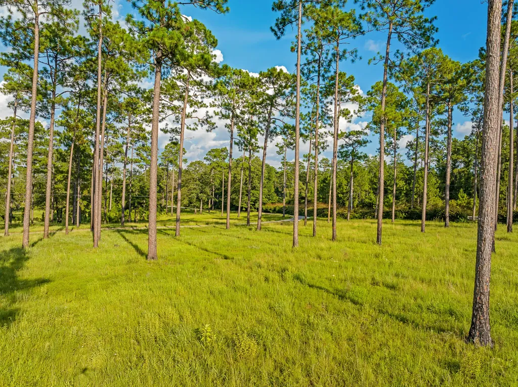 0 Steelwood Ridge Drive Loxley AL 36551