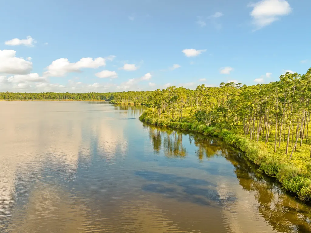 0 Steelwood Ridge Drive Loxley AL 36551