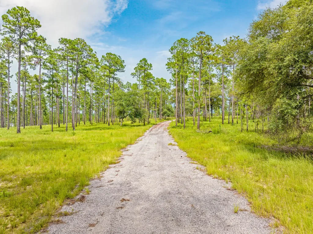 0 Steelwood Ridge Drive Loxley AL 36551