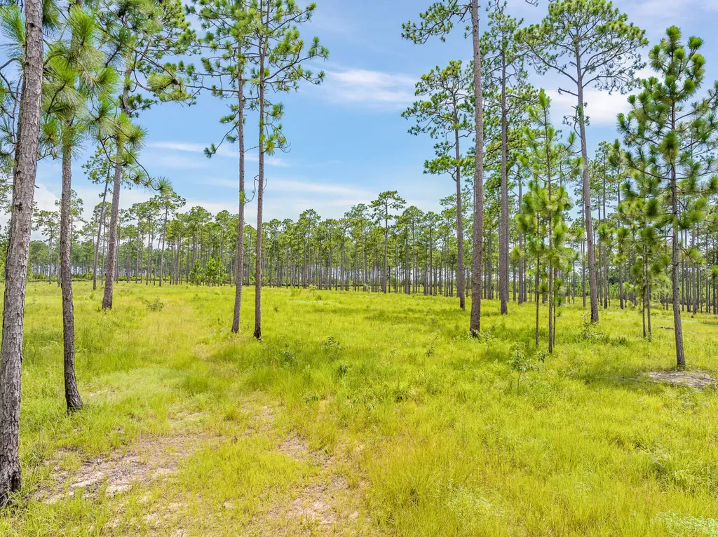 0 Steelwood Ridge Drive Loxley AL 36551