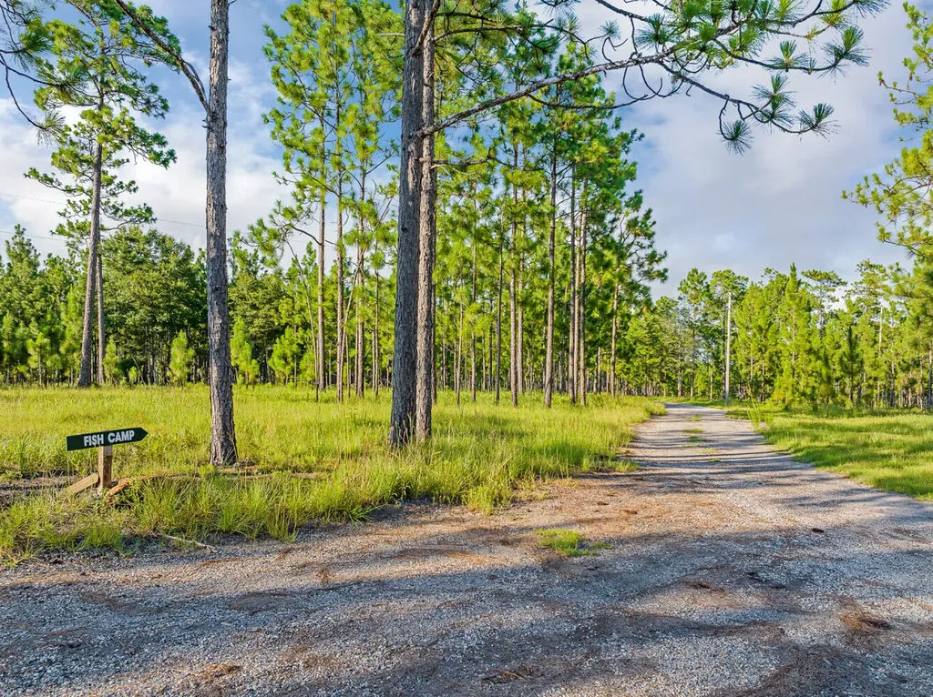 0 Steelwood Ridge Drive Loxley AL 36551