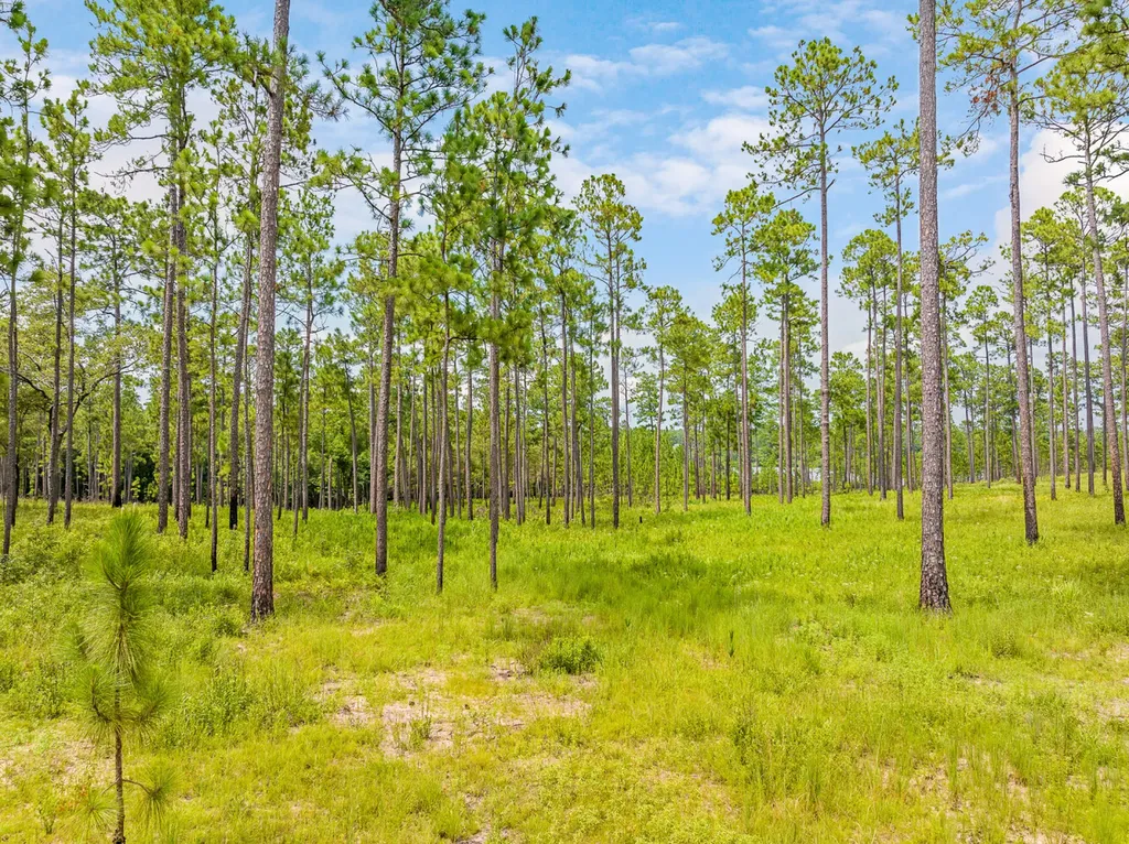 0 Steelwood Ridge Drive Loxley AL 36551