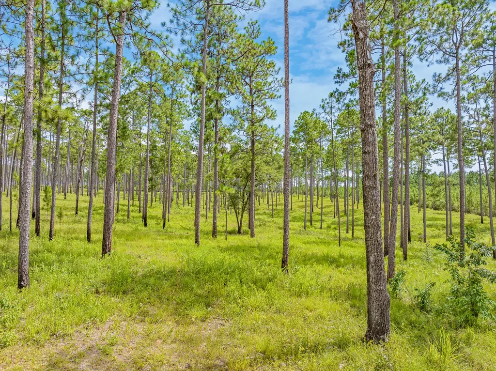 0 Steelwood Ridge Drive Loxley AL 36551