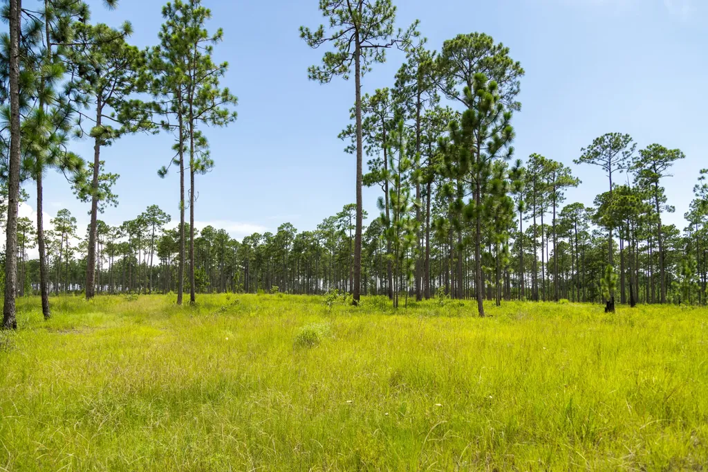 0 Steelwood Ridge Drive Loxley AL 36551