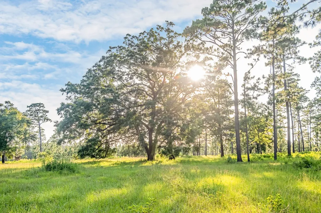 0 Steelwood Ridge Drive Loxley AL 36551