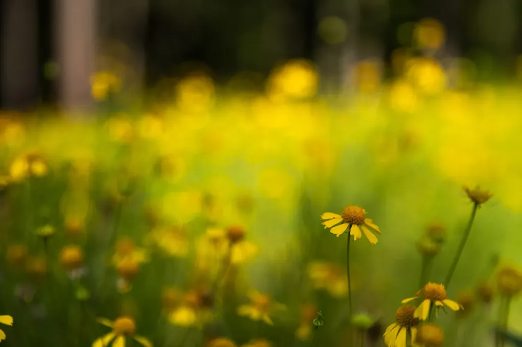 0 Steelwood Ridge Drive Loxley AL 36551