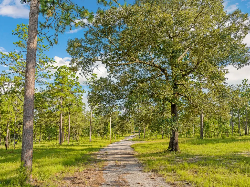 0 Steelwood Ridge Drive Loxley AL 36551