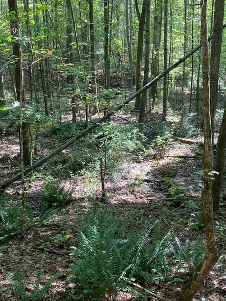 0 Wigdon Road Opelika AL 36801