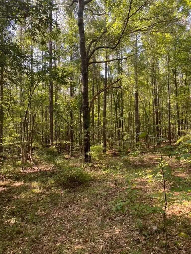 0 Wigdon Road Opelika AL 36801