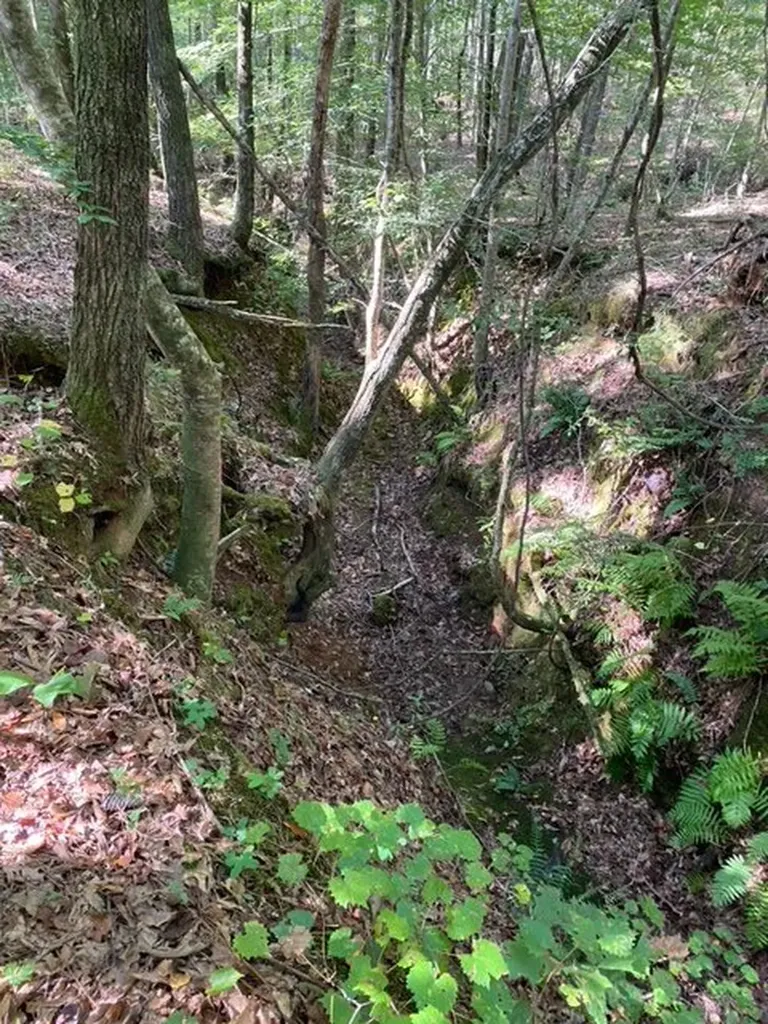 0 Wigdon Road Opelika AL 36801