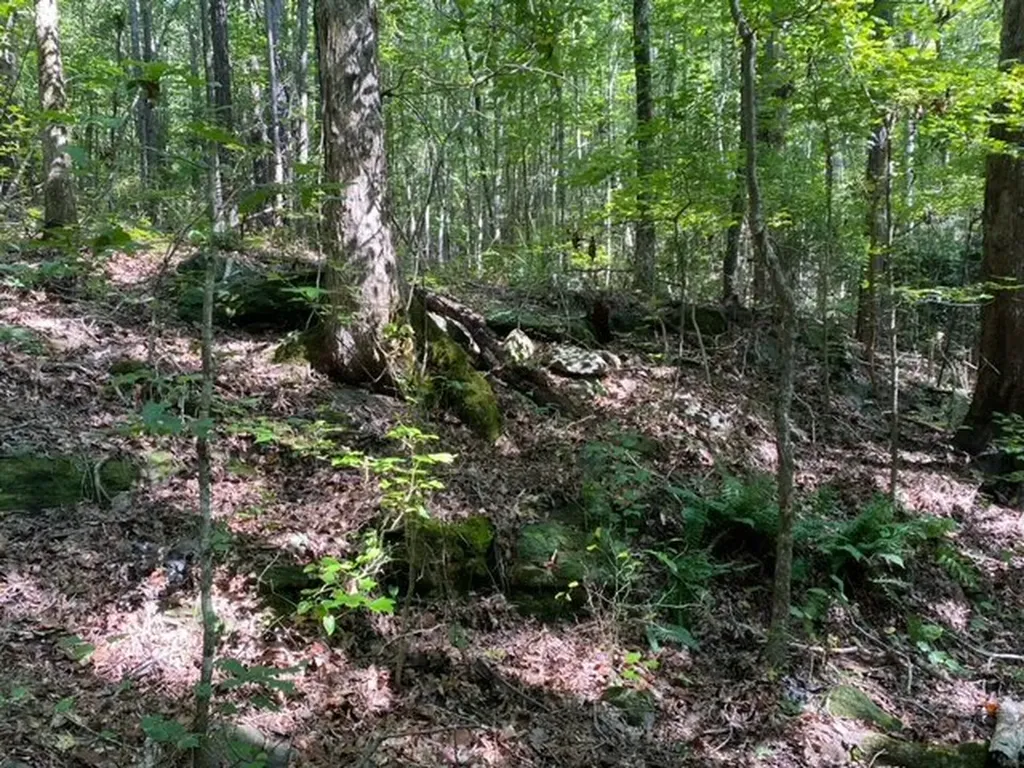 0 Wigdon Road Opelika AL 36801