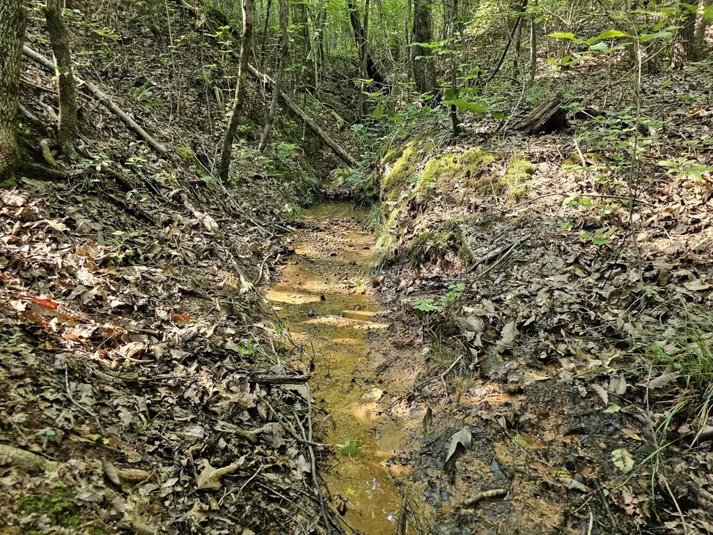 Tract 1 0 Alabama Highway 44 Brilliant AL 35548