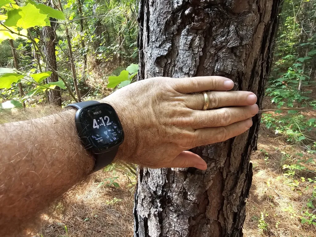 Tract 1 0 Alabama Highway 44 Brilliant AL 35548