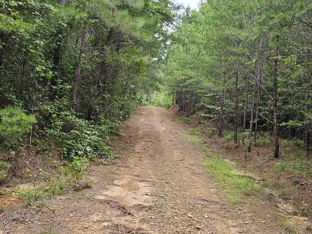 Tract 15 0 County Road 30 Brilliant AL 35548