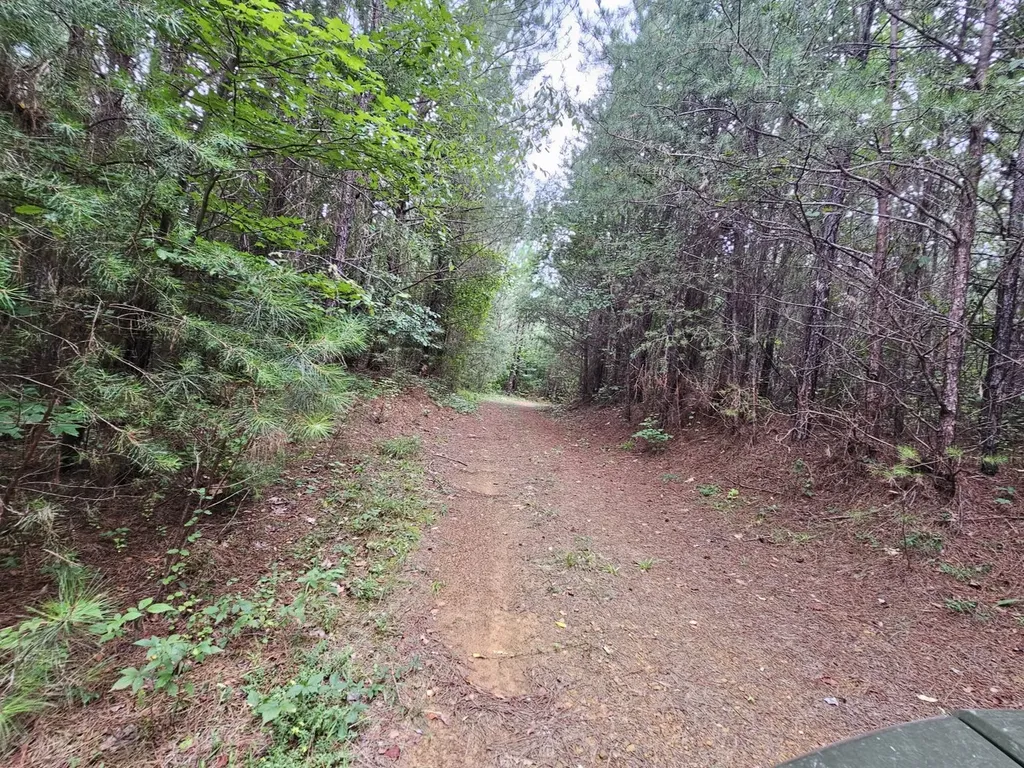 Tract 15 0 County Road 30 Brilliant AL 35548