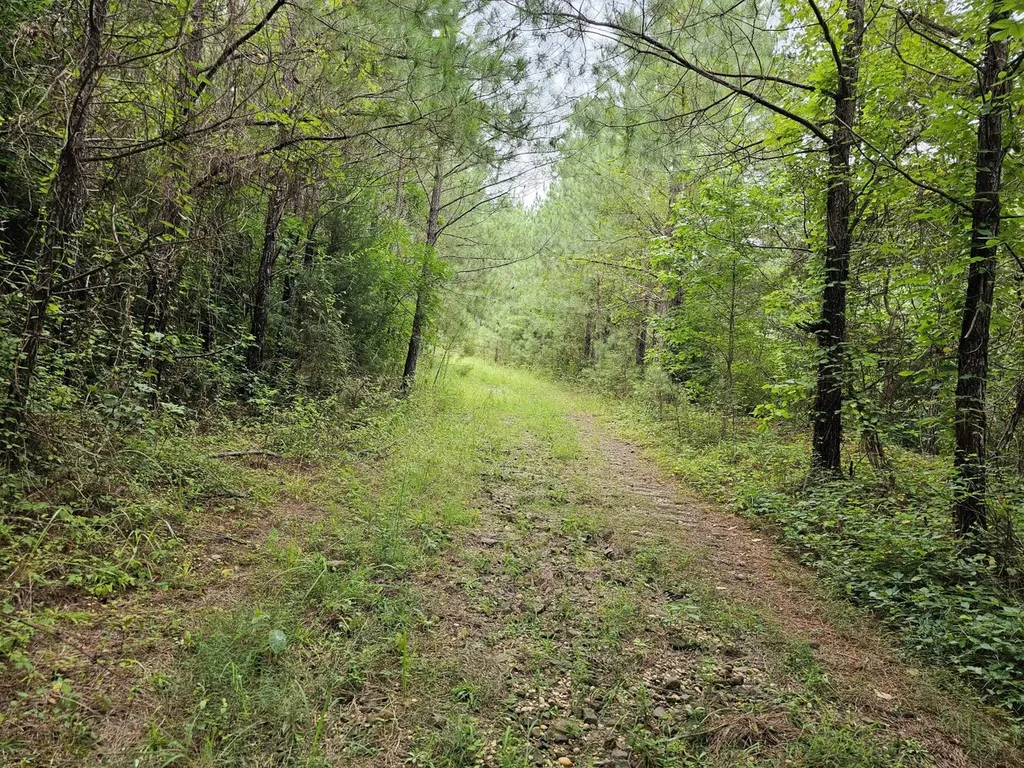 Tract 15 0 County Road 30 Brilliant AL 35548