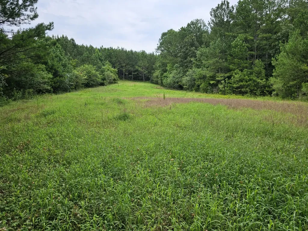 Tract 15 0 County Road 30 Brilliant AL 35548