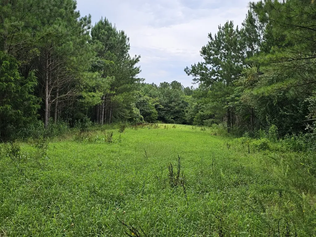 Tract 15 0 County Road 30 Brilliant AL 35548