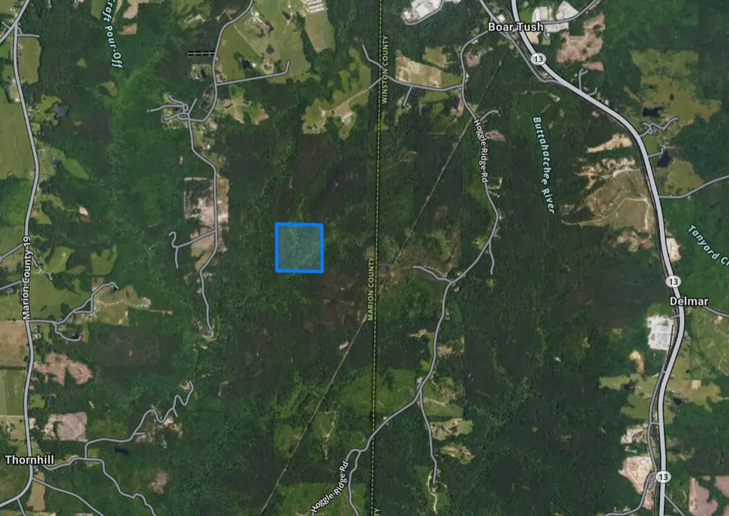 Track 18 0 Hoggle Ridge Road Haleyville AL 35565