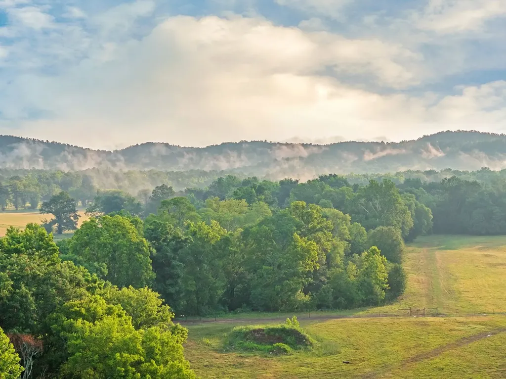 0 Talladega Highway Sylacauga AL 35106