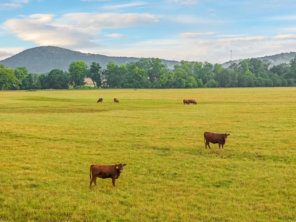 0 Talladega Highway Sylacauga AL 35106