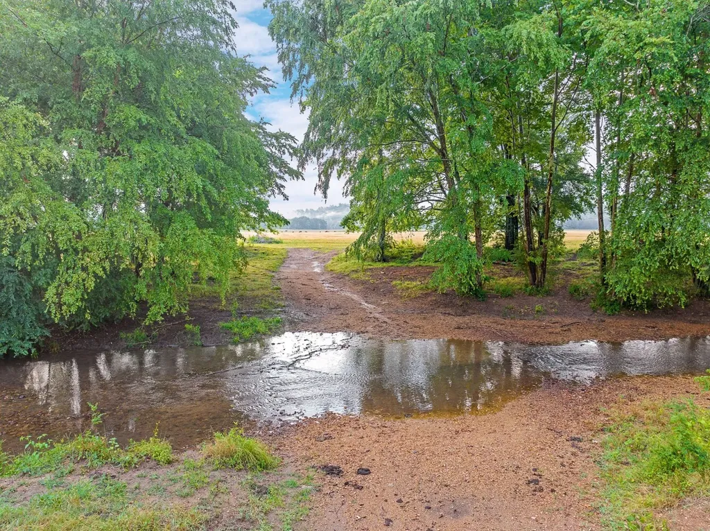 0 Talladega Highway Sylacauga AL 35106