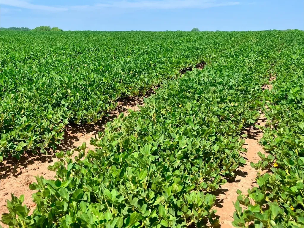 0 Wayside Road Atmore AL 36502