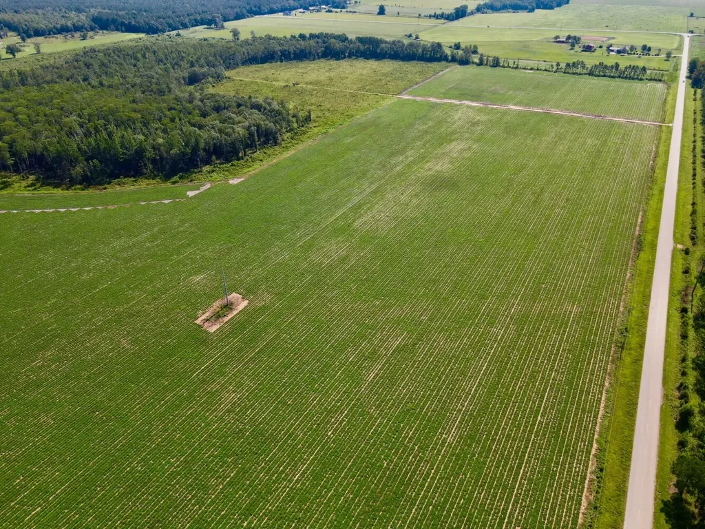 0 Wayside Road Atmore AL 36502