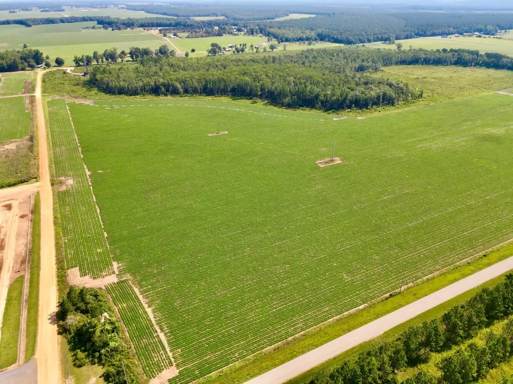 0 Wayside Road Atmore AL 36502