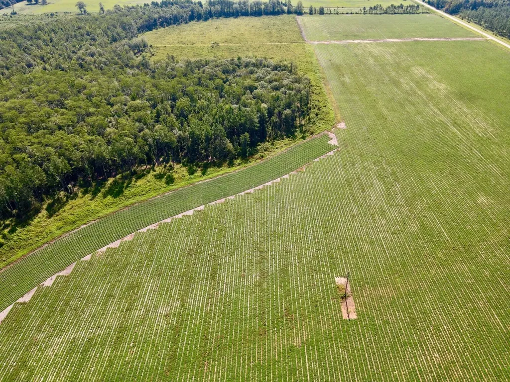 0 Wayside Road Atmore AL 36502