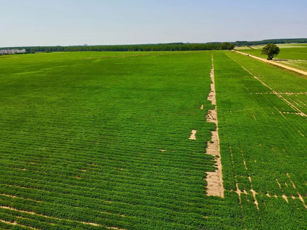 0 Wayside Road Atmore AL 36502