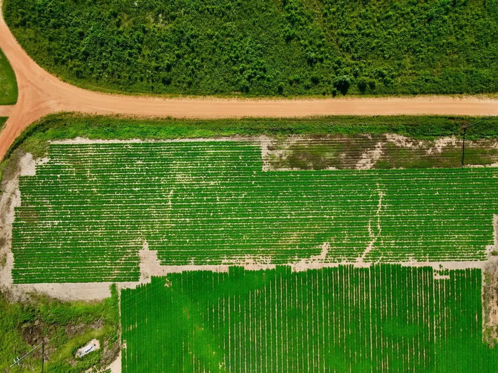 0 Wayside Road Atmore AL 36502