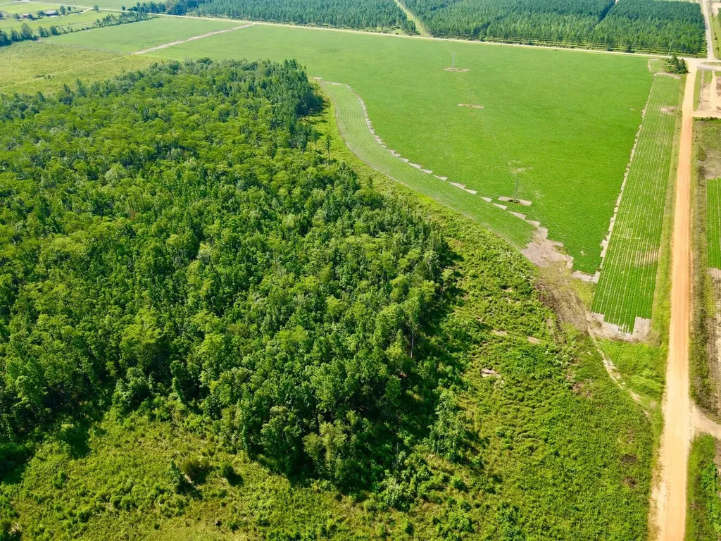 0 Wayside Road Atmore AL 36502