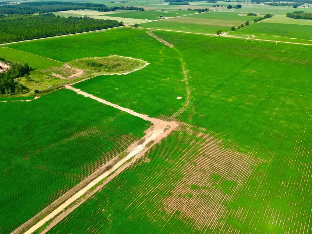 0 Wayside Road Atmore AL 36502