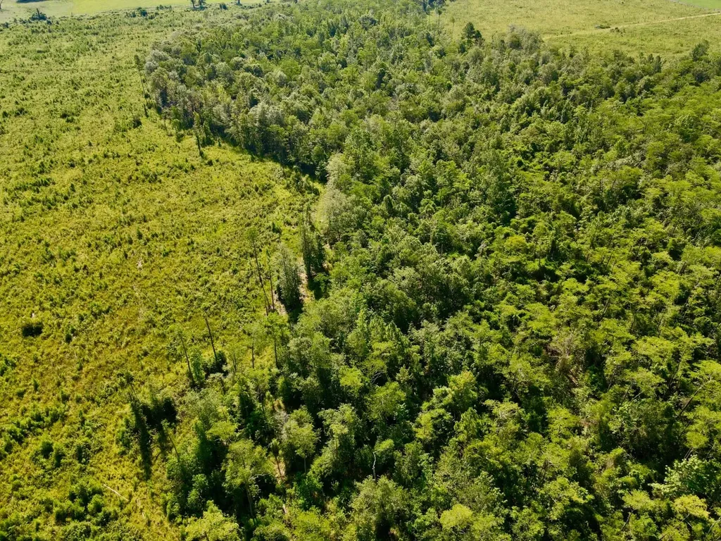 0 Wayside Road Atmore AL 36502