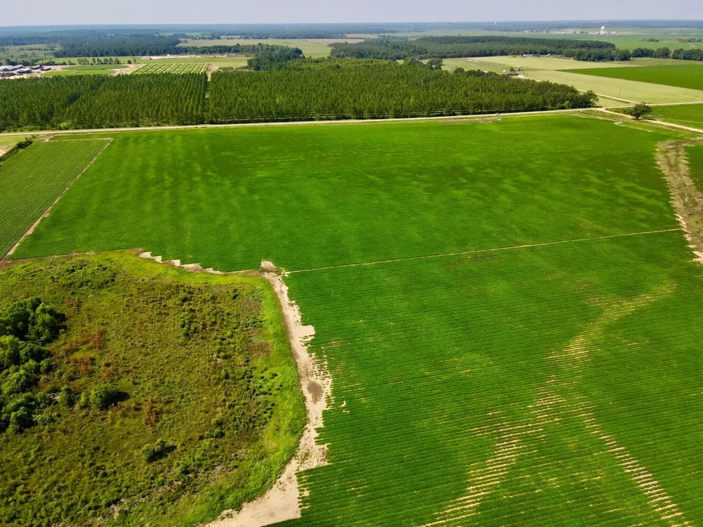 0 Wayside Road Atmore AL 36502