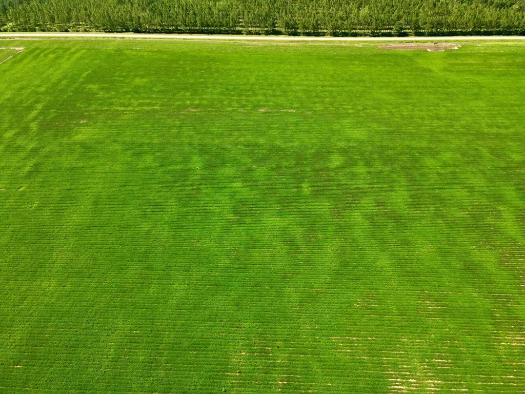 0 Wayside Road Atmore AL 36502