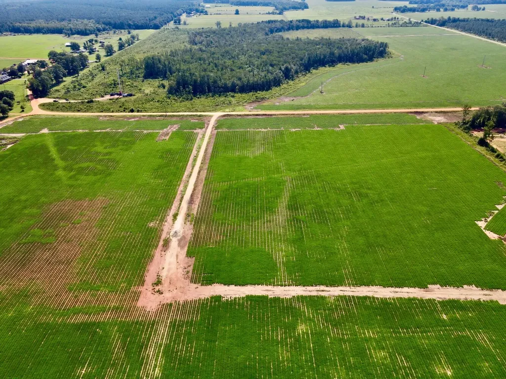 0 Wayside Road Atmore AL 36502