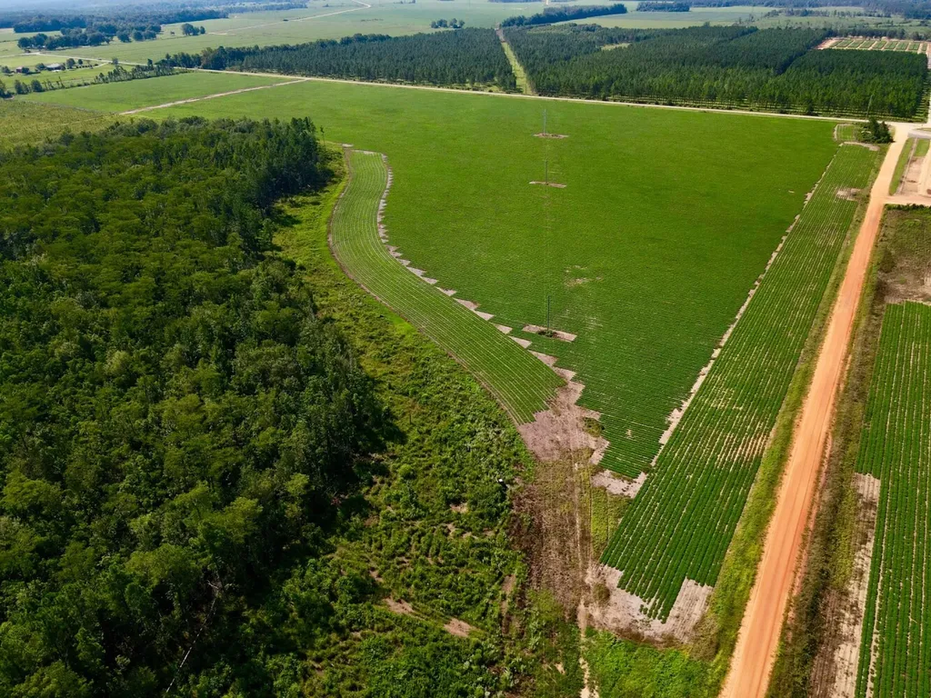 0 Wayside Road Atmore AL 36502