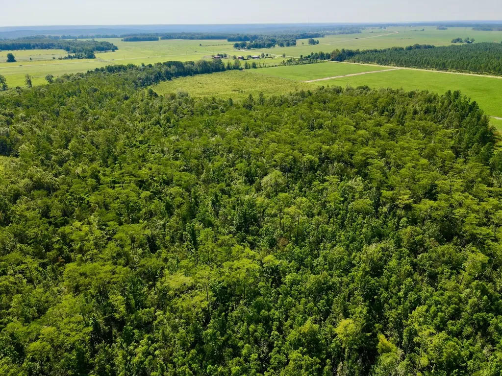 0 Wayside Road Atmore AL 36502